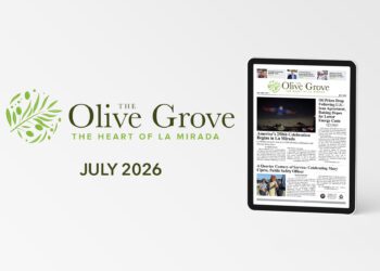 e-Edition