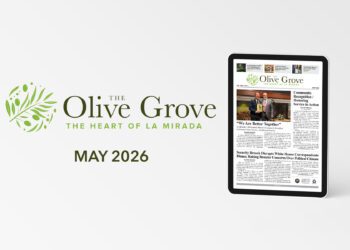 e-Edition
