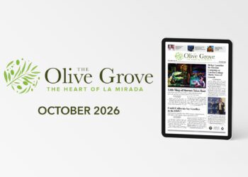 e-Edition