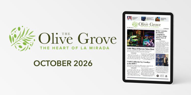 e-Edition