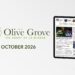 e-Edition
