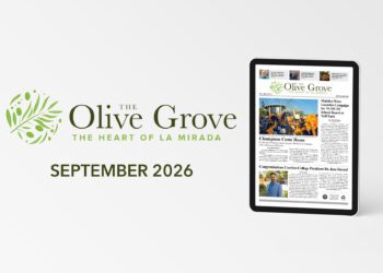 e-Edition