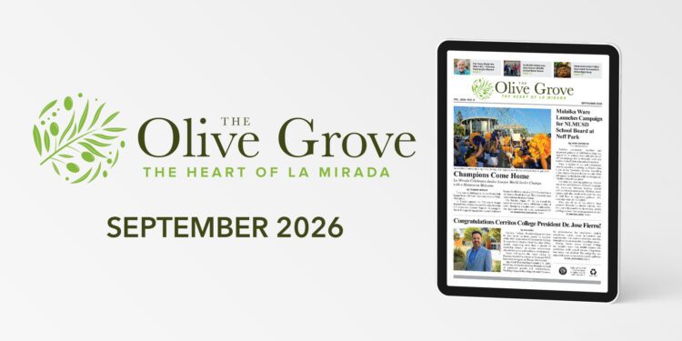 e-Edition