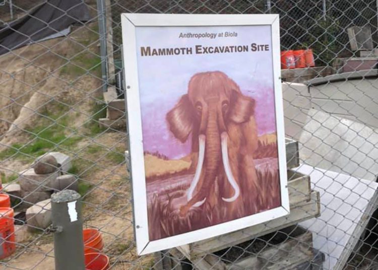 La Mirada’s Ancient History: When the Mammoth and Dire Wolves Roamed Our Hills