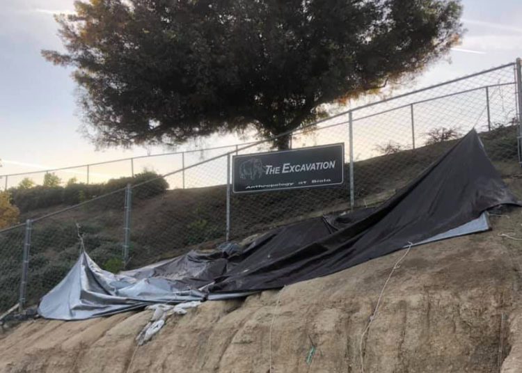 La Mirada’s Ancient History: When the Mammoth and Dire Wolves Roamed Our Hills