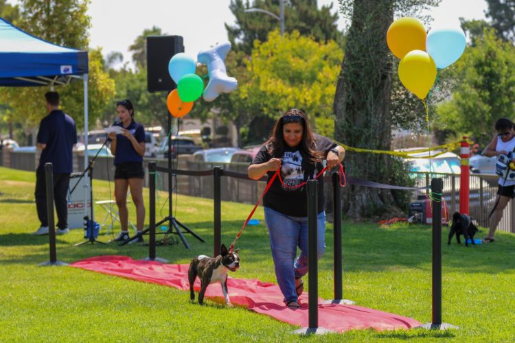 Bark in the Park