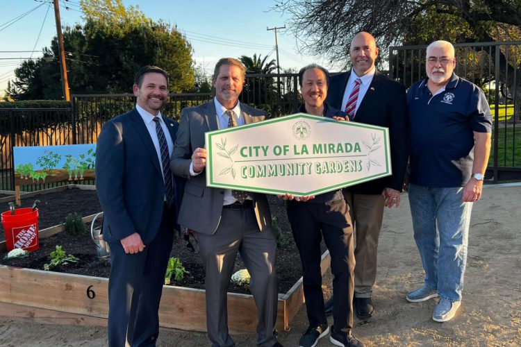 La Mirada’s Remarkable Transformation: A Journey of Beauty and Progress