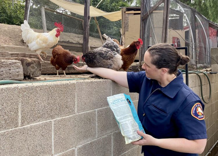 Ride Along with Station 49