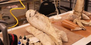 Biola’s Mammoth Specimen to Join The Natural History MuseumBiola’s Mammoth Specimen to Join