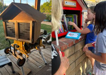 Little Neighborhood Library