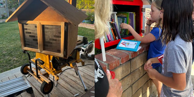 Little Neighborhood Library