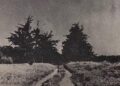 La Mirada History: What History Lies Behind Our Street Names / Part 2