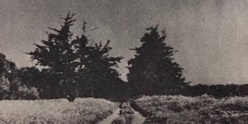 La Mirada History: What History Lies Behind Our Street Names / Part 2