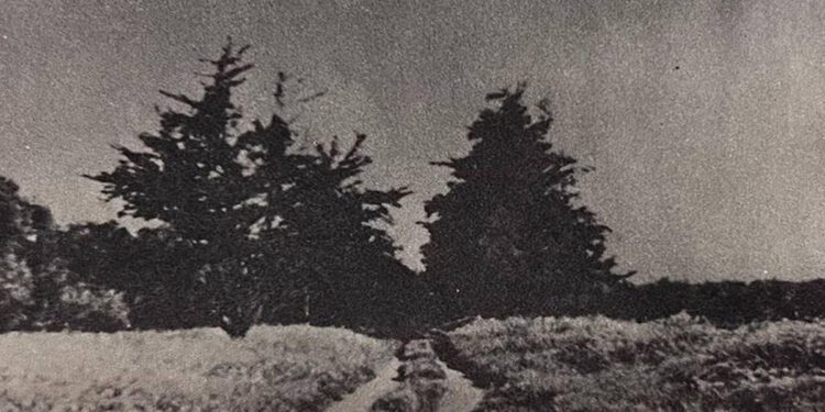 La Mirada History: What History Lies Behind Our Street Names / Part 2