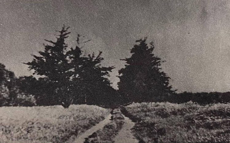 La Mirada History: What History Lies Behind Our Street Names / Part 2