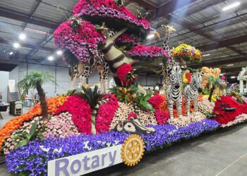 Hands That Build the Magic in Teamwork