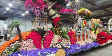 Hands That Build the Magic in Teamwork