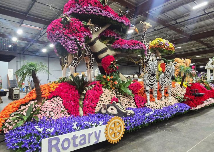 Hands That Build the Magic in Teamwork