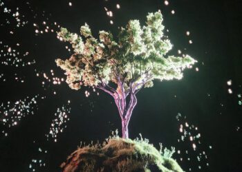 Cerritos College Student Bands Take the Stage Ahead of Dr. Andrew Maz’s Album Concert