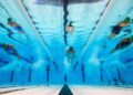 Young Swimmers Shine at SCS Spring Age Group Championships