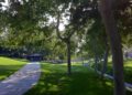 La Mirada Named 2025 Tree City USA