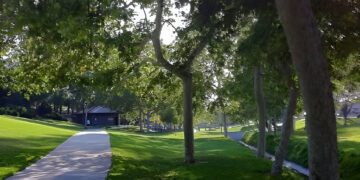 La Mirada Named 2025 Tree City USA