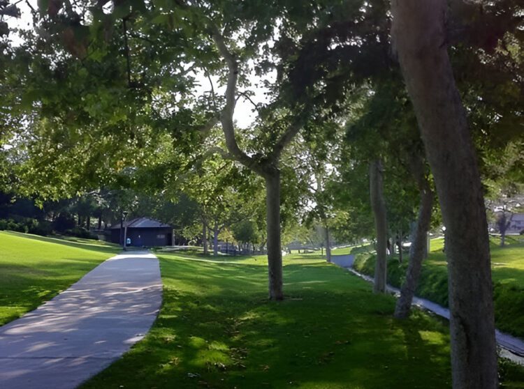 La Mirada Named 2025 Tree City USA