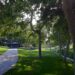 La Mirada Named 2025 Tree City USA
