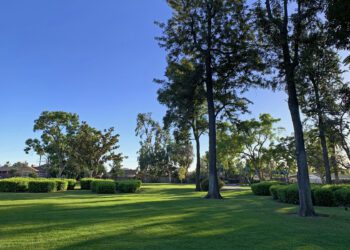 Concerts Under the Stars Returns to La Mirada with New Location and Night Market
