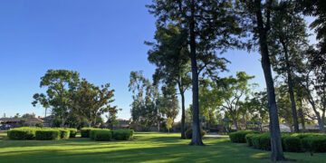 Concerts Under the Stars Returns to La Mirada with New Location and Night Market