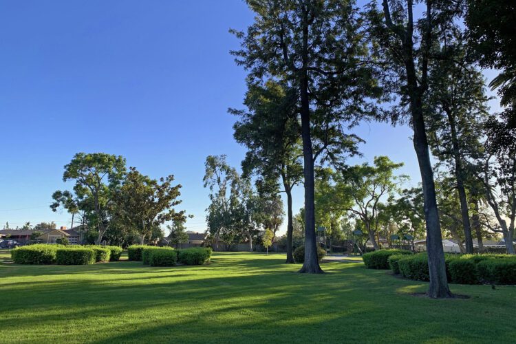 Concerts Under the Stars Returns to La Mirada with New Location and Night Market