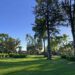Concerts Under the Stars Returns to La Mirada with New Location and Night Market