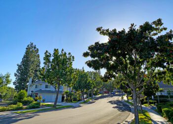 Pathway to Homeownership Workshop
