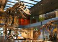 Natural History Museum Brings Learning to Students Across Los Angeles County