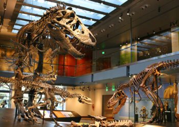 Natural History Museum Brings Learning to Students Across Los Angeles County