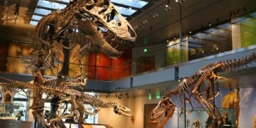 Natural History Museum Brings Learning to Students Across Los Angeles County