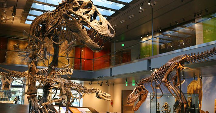 Natural History Museum Brings Learning to Students Across Los Angeles County