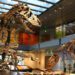 Natural History Museum Brings Learning to Students Across Los Angeles County